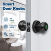 Poignée de porte à empreinte digitale Aidmi avec contrôle d'application adaptée aux chambres à coucher, vestiaires, appartements, bureaux, hôtels, noir mat
