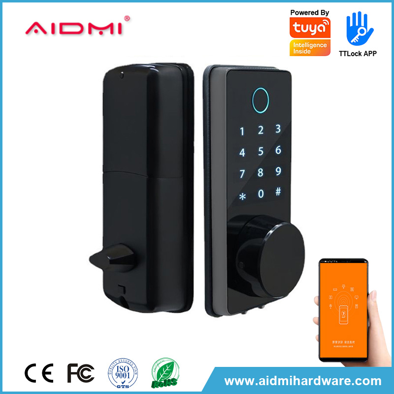 Serrure de porte avant intelligente à empreinte digitale