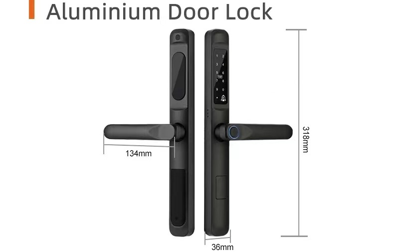 serrure de porte intelligente