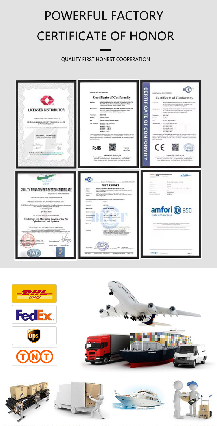 serrure de porte intelligente