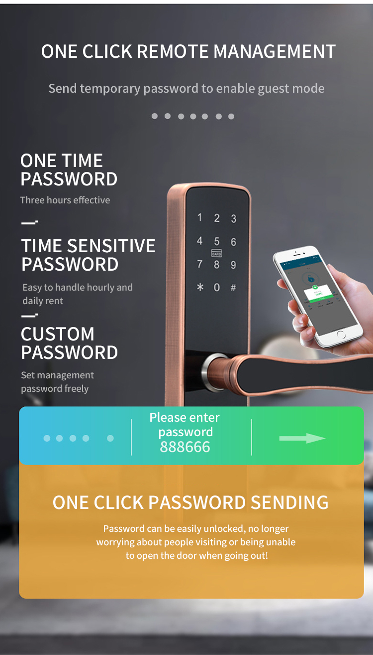 poignée de porte d'entrée