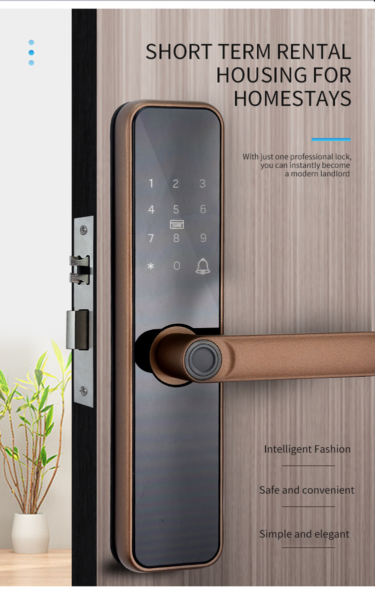 serrure de porte intelligente
