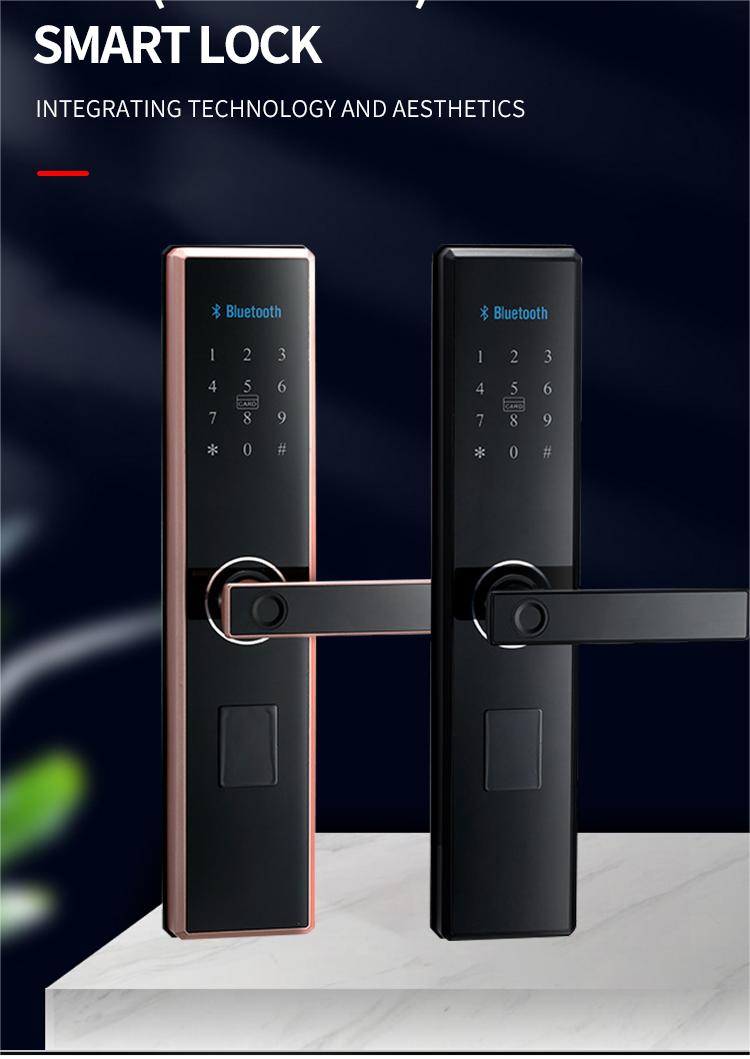 serrure de porte intelligente