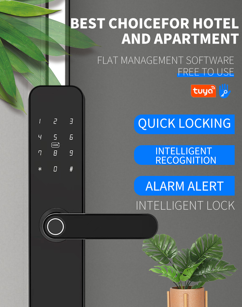 serrure de porte intelligente