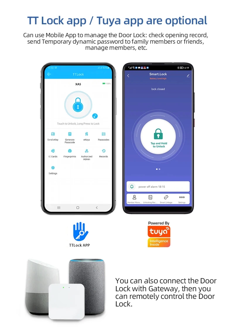 serrure de porte intelligente