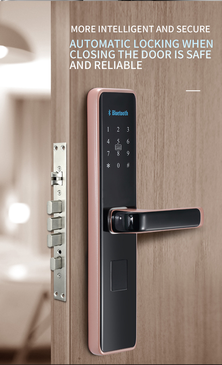 serrure de porte intelligente