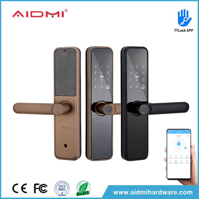 Serrure de porte intelligente, fonctionne avec l'application, serrure de porte avant intelligente à empreintes digitales, ADM-S024