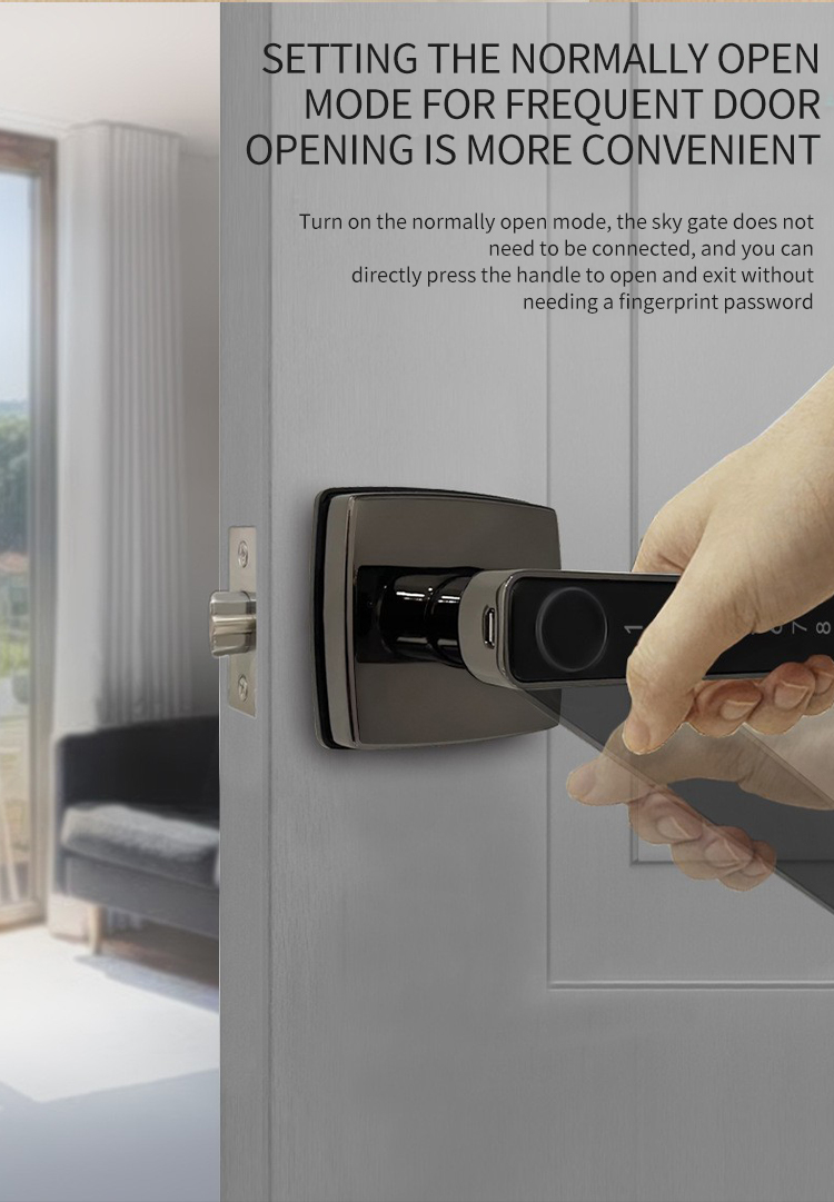 serrure de porte intelligente