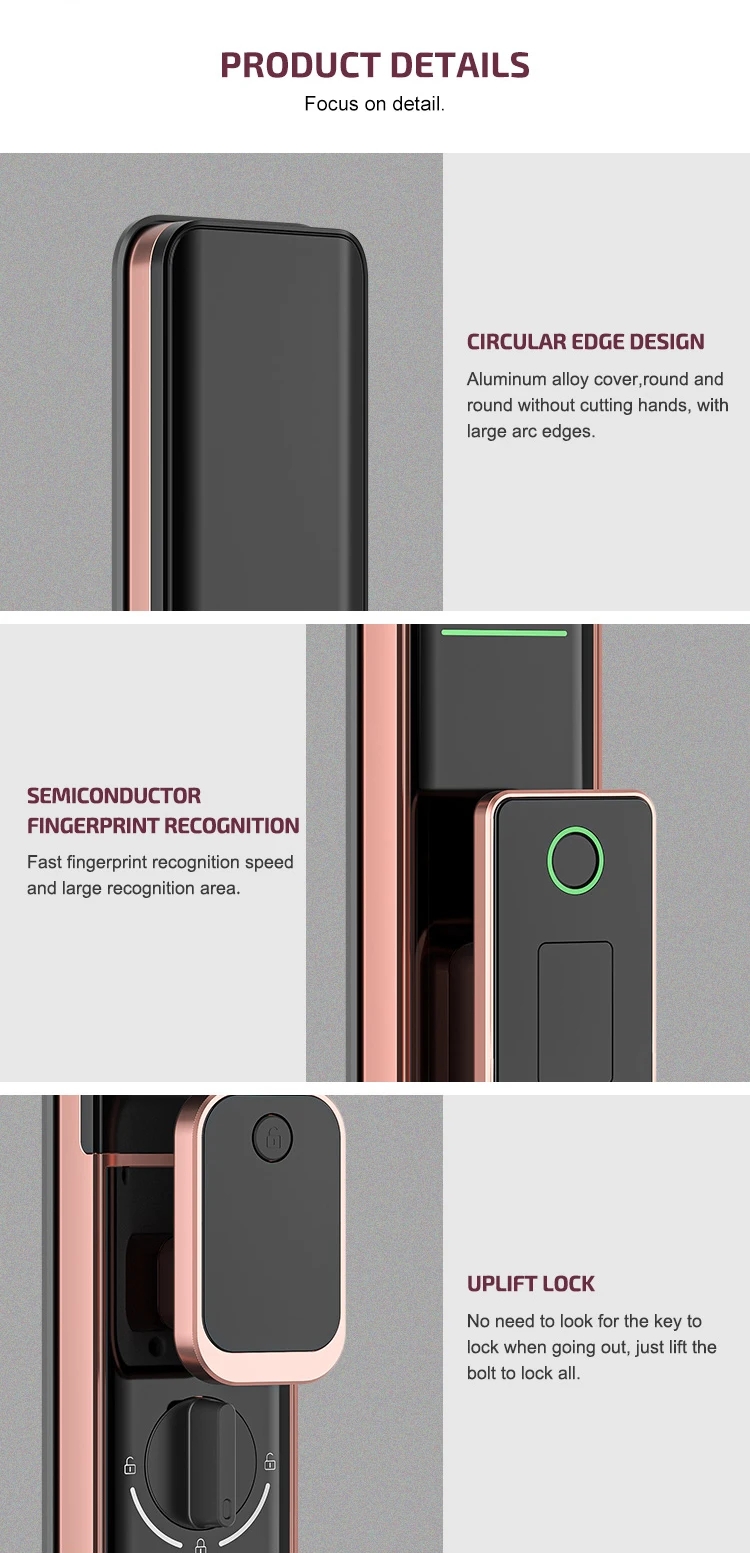 serrure de porte intelligente