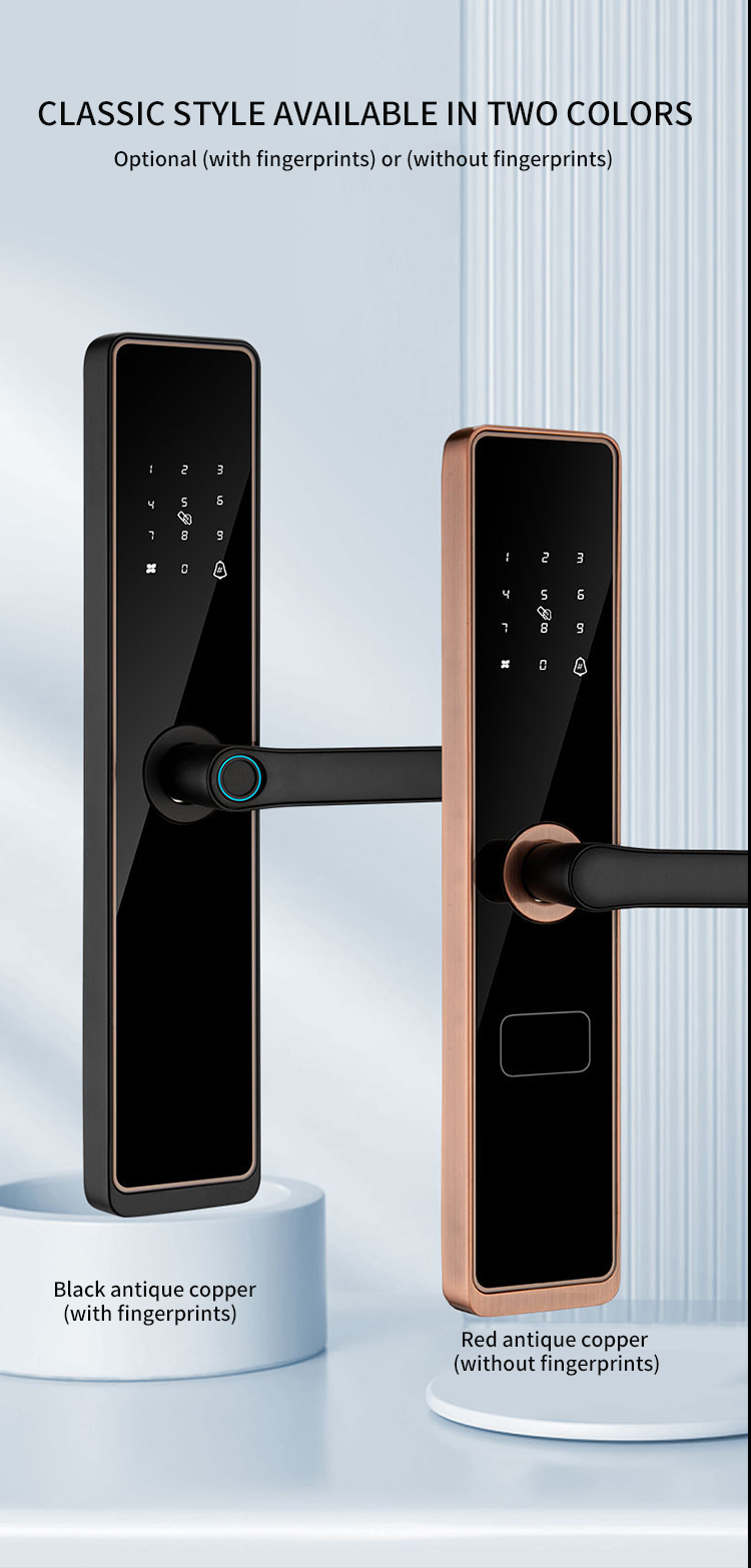 serrure de porte intelligente