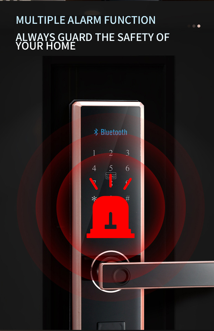 serrure de porte intelligente