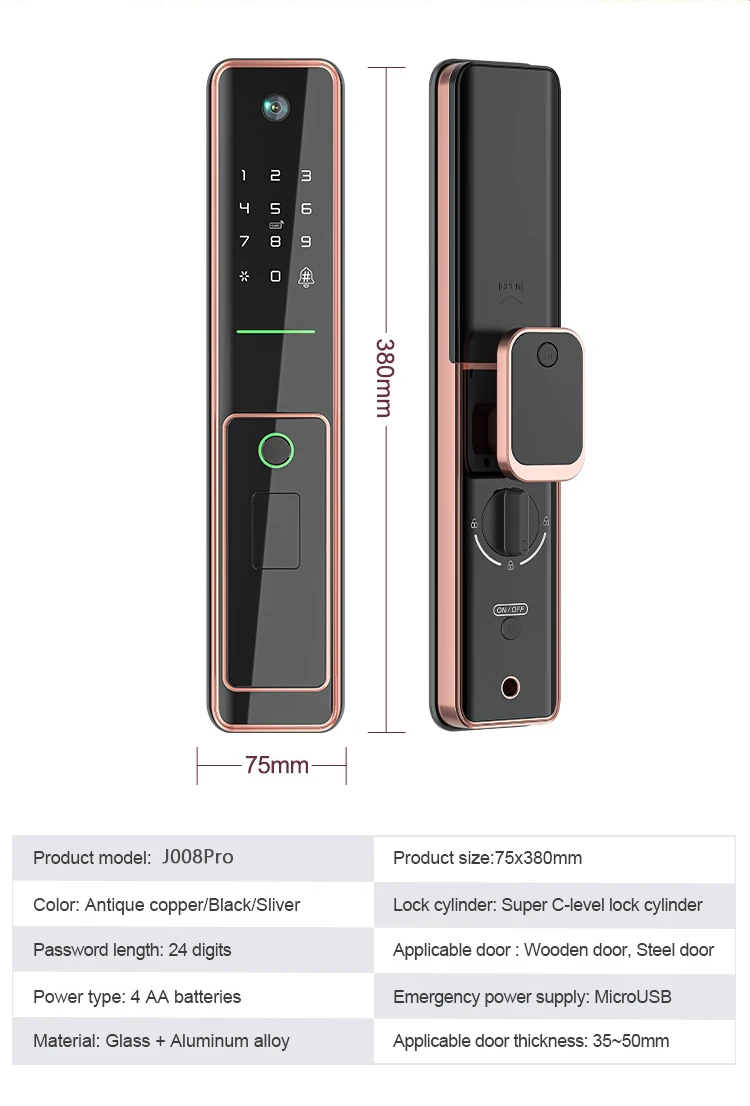 serrure de porte à empreinte digitale