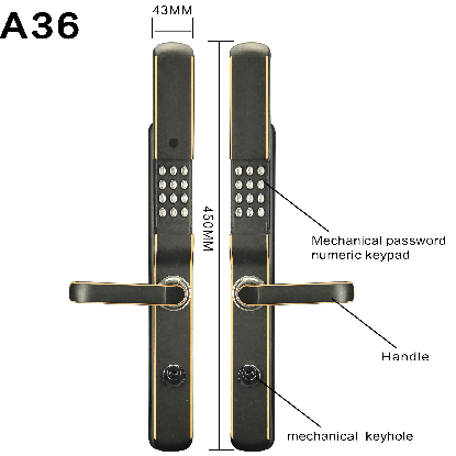 poign&eacute;e de porte d'entr&eacute;e