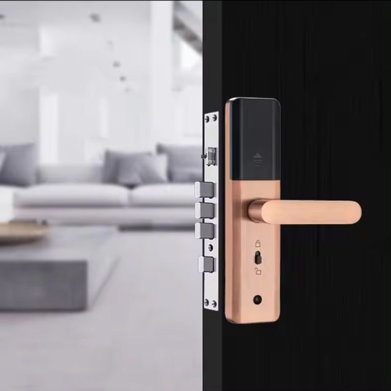 serrures de porte intelligentes 