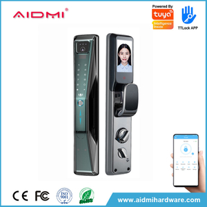 Aidmi vente en gros 3d reconnaissance faciale empreinte digitale entrée sans clé serrure de porte d'entrée intelligente avec caméra wifi