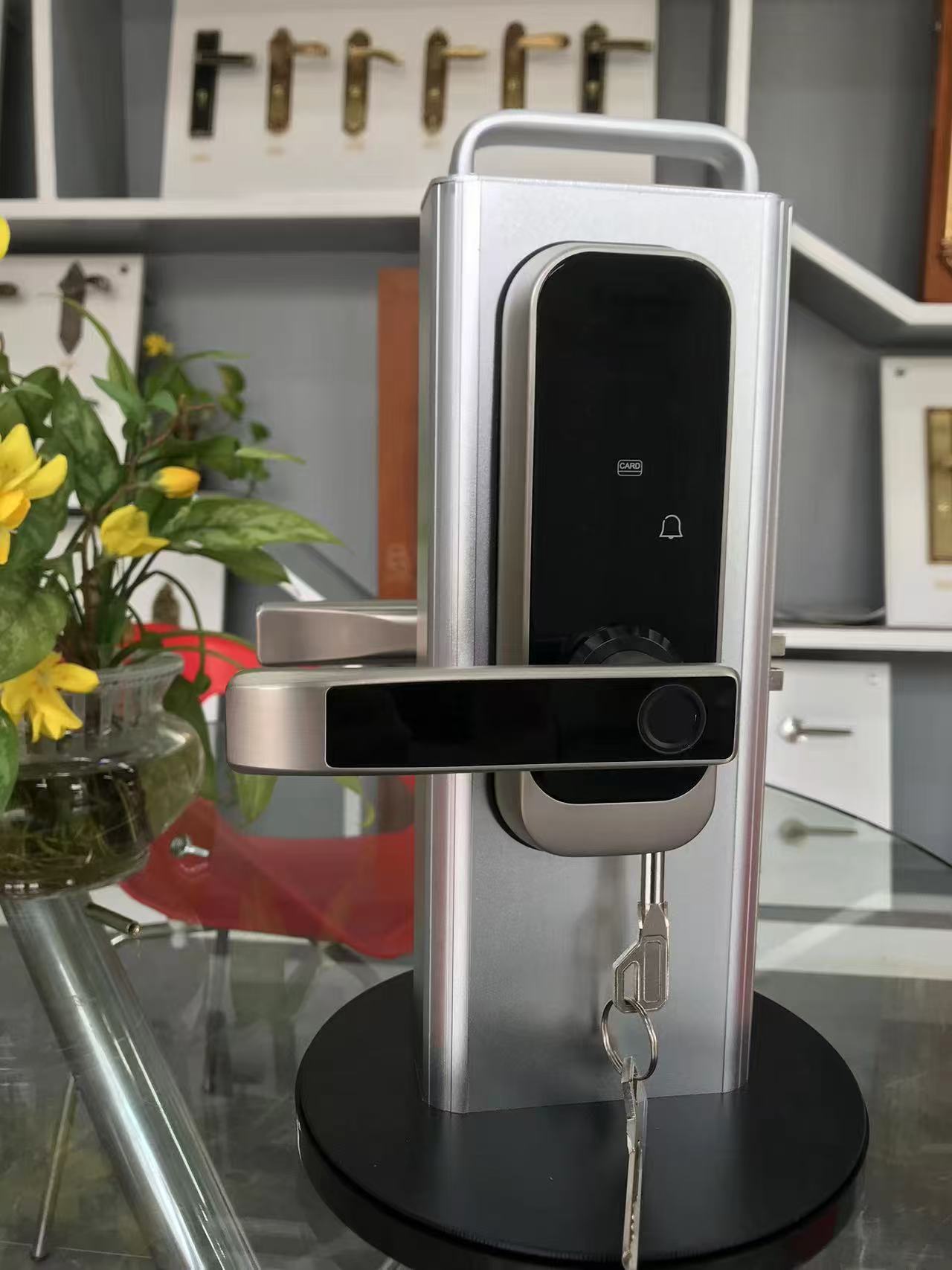 poignée de porte